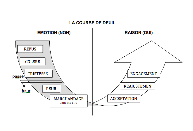 courbe du deuil